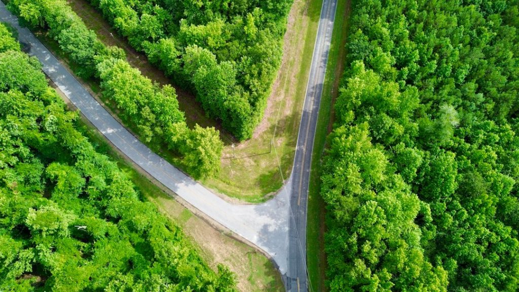 Aerial view of a split road surrounded by dense greenery